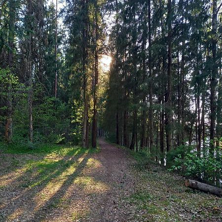 Ozolu Gatve 2- No Cesim 7 Km Apartment Janmuiza Luaran gambar